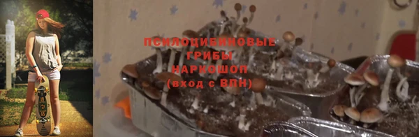 амф Баксан