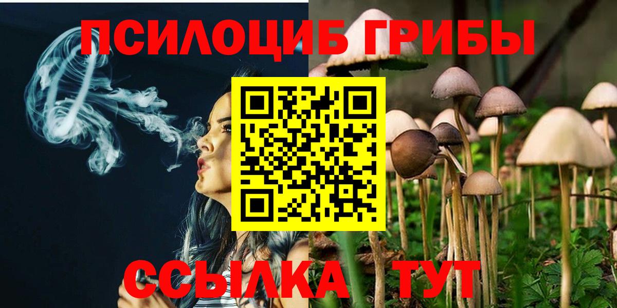 Псилоцибиновые грибы Magic Shrooms Черняховск